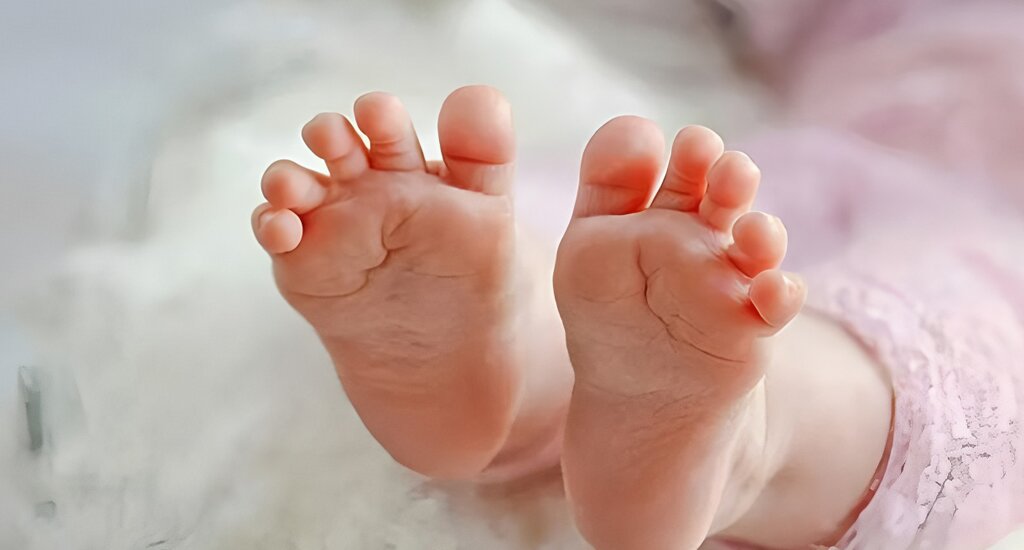 美国代孕机构：代孕机构助力女性实现愿望延续爱的传承