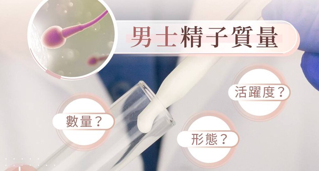 美国代孕机构：试管婴儿的实施步骤