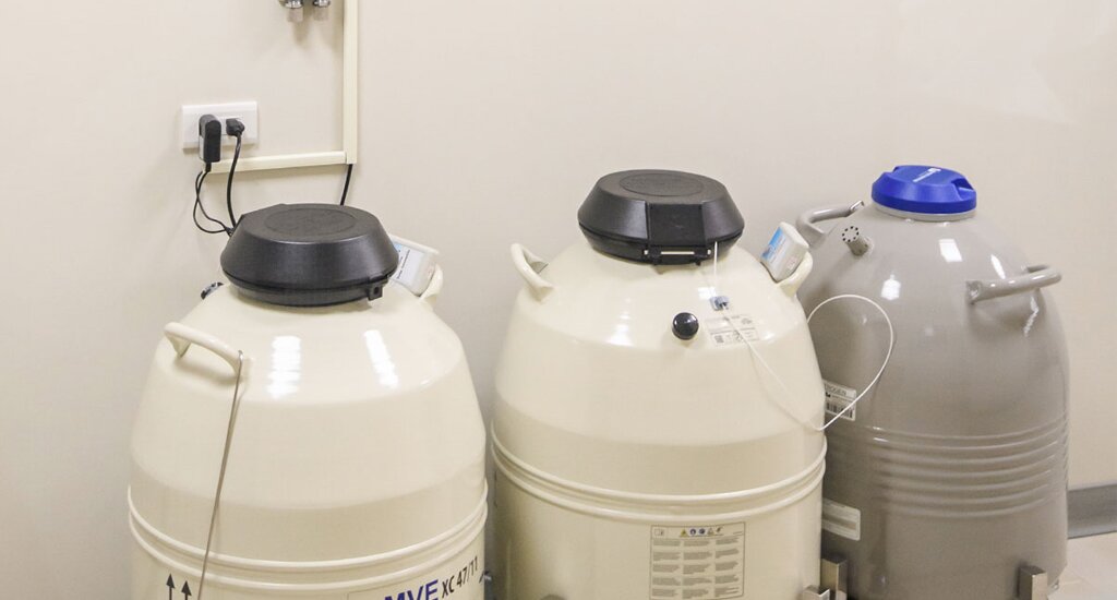 ​美国代孕服务：​跨越山海，只为与你相遇