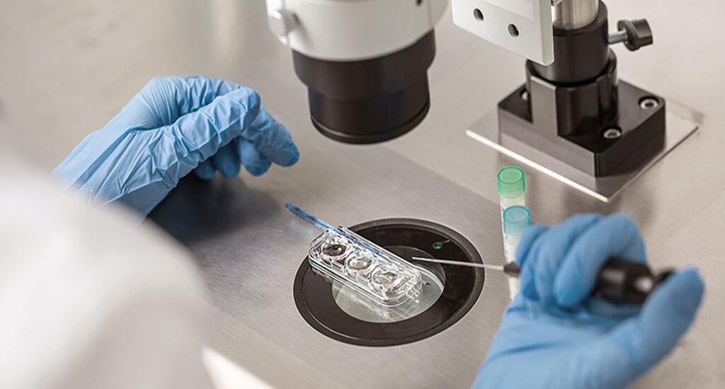 ​​美国代孕机构：​我的试管逆袭之路，为家庭点亮希望之光