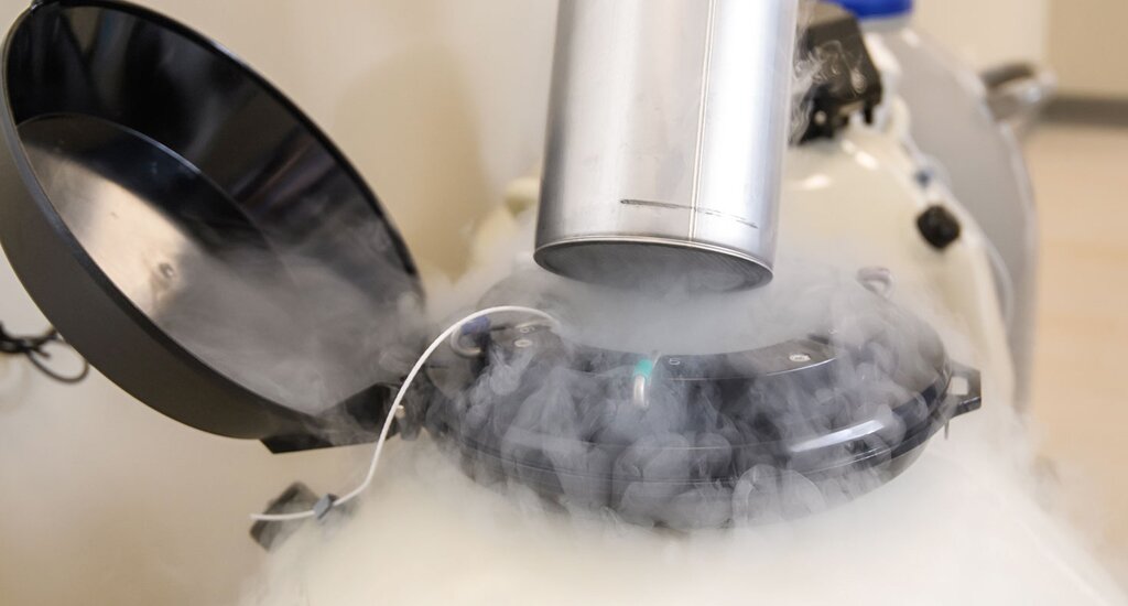 美国代孕机构：从两个人到三个人的旅程